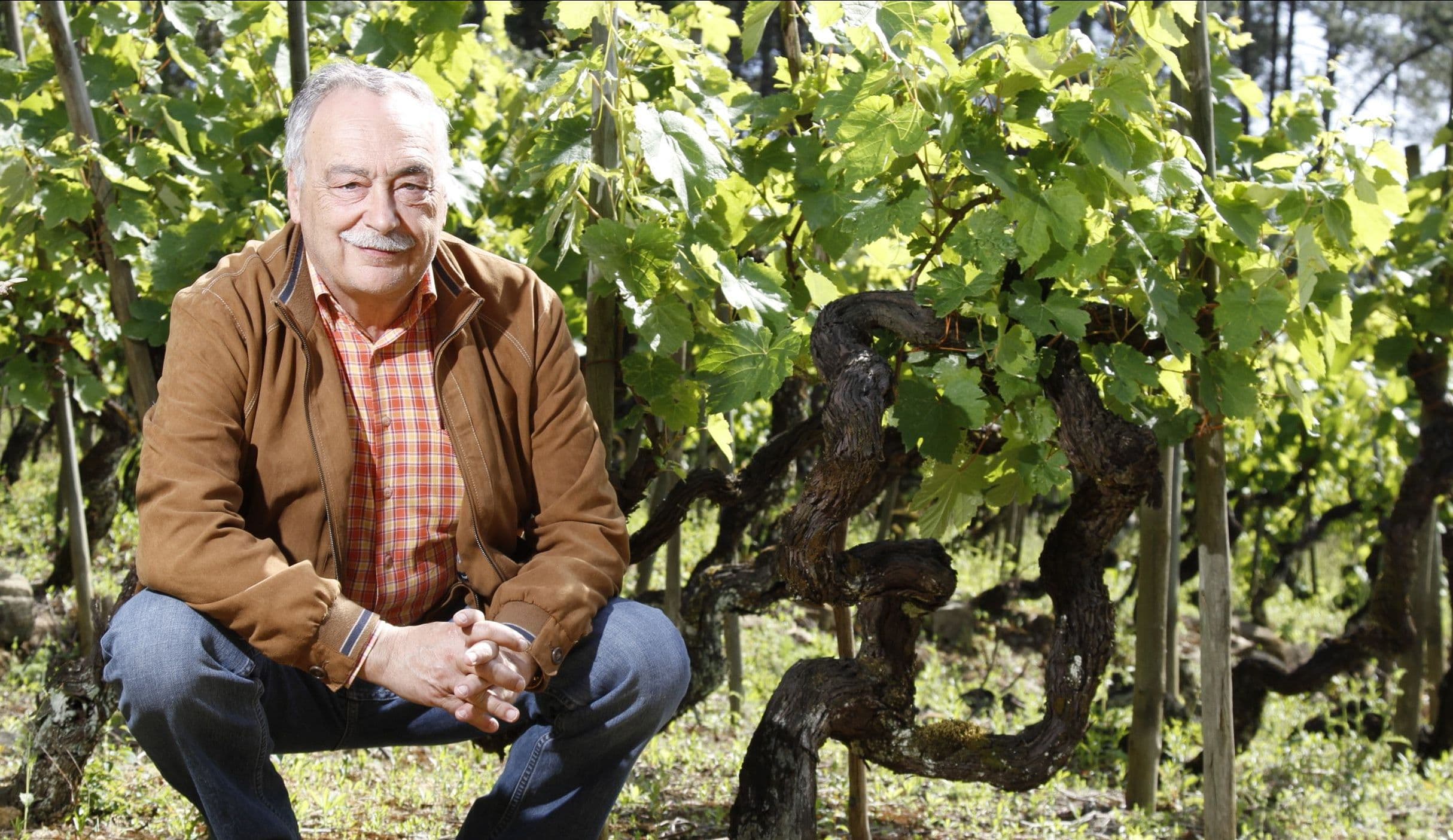 Luís Pato projeta espumantes como o futuro da Bairrada 